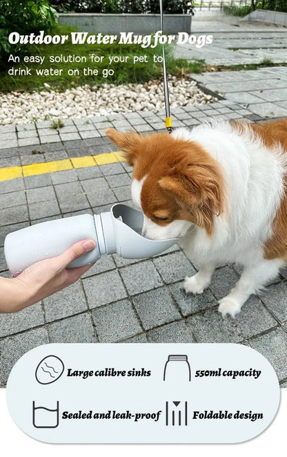 Folding Pet Water Dispenser - Pet Pampers Store